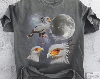 Three Secretary Birds Vintage Graphic Tshirt, 90s Retro Bird Moon Tee, Funny Secretary Bird Tee, Cool Bird Gift, Oversized Washed Tee Gifts