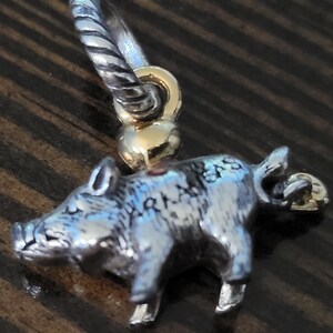 Puede incluir: Un dije plateado con forma de jabal&iacute;, con la palabra "ARKAS" grabada en un lateral. El dije est&aacute; unido a una fianza plateada y dorada, adecuado para un collar o pulsera.