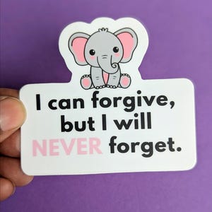 VINYL STICKER - "I Can Forgive, But Not Forget" waterdichte sticker motivatie advies zelfvertrouwen echtscheiding depressie uiteenvallen scheiding misbruik