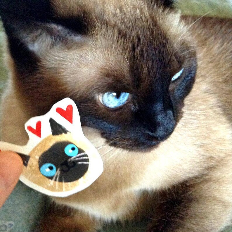 Gatto Siamese Adesivi Fun Pack Di Adesivi Gatto Faccia Emoji Etsy