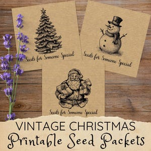 Kerstzaadpakketten, mini-enveloppen voor zaden, afdrukbare zaadzakjes pdf, milieuvriendelijke kerstcadeaus voor tuinders, zaadbesparende enveloppen