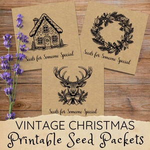Paquetes de semillas navideñas, sobres de semillas imprimibles en formato PDF, sobres vintage para semillas navideñas, regalos ecológicos para jardineros, sobres para guardar semillas