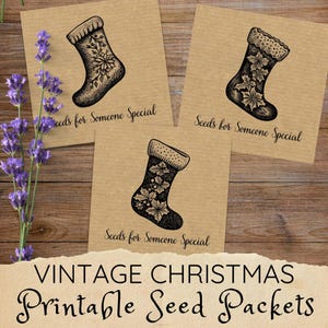 enveloppes de graines de Noël vintage, paquets de graines de Noël, cadeaux écologiques pour jardiniers, enveloppes de conservation de graines à faire soi-même, sachet de graines imprimable PDF