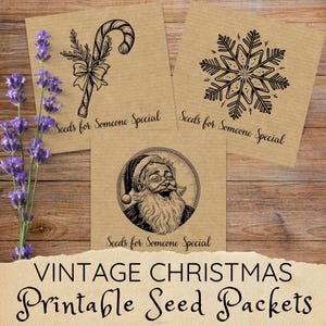 Kerstzaadpakketten, mini-enveloppen voor zaden, afdrukbare zaadzakjes pdf, milieuvriendelijke kerstcadeaus voor tuinders, zaadbesparende enveloppen