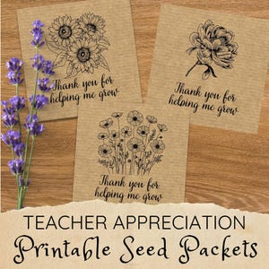 Zaadbesparende envelop, milieuvriendelijke cadeaus voor leraren, verjaardagscadeaus voor tuinders, mini-enveloppen voor zaadbesparing, afdrukbare zaadpakketten.