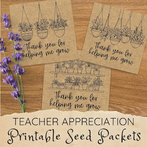 Enveloppe de graines pour les enseignants, cadeaux de Noël pour les amateurs de plantes pour les enseignants, cadeaux de Noël pour les jardiniers, cadeaux de remerciements pour les enseignants des enfants