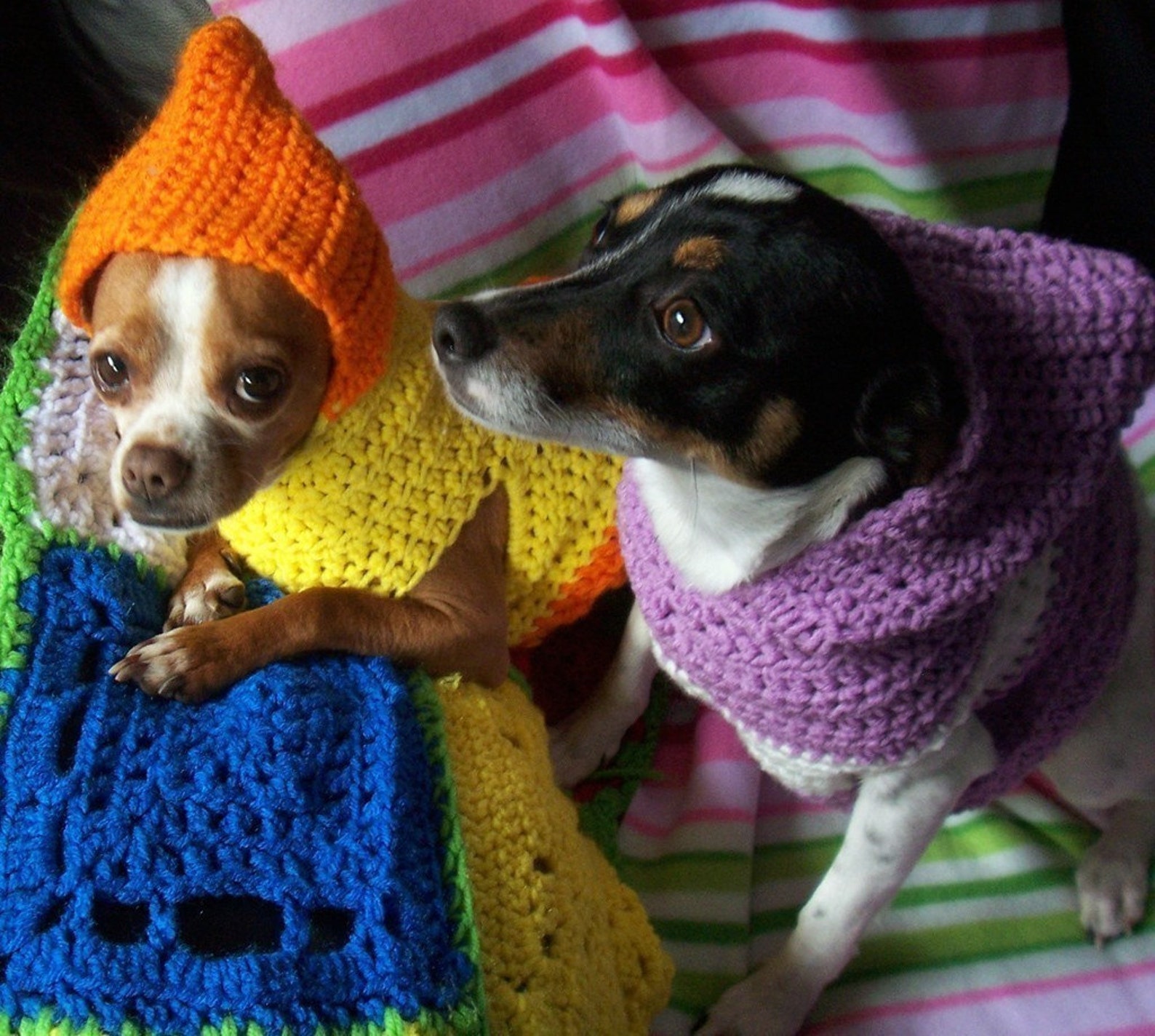Crocheted Hooded Dog Sweater Pattern PDF Small and Medium Etsy