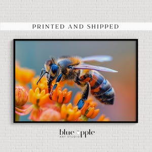 May include: A framed close-up photograph of a honeybee on orange flowers. The bee has brown and black stripes with blue accents. The photograph is set against a blurred background with the text "PRINTED AND SHIPPED" at the top.