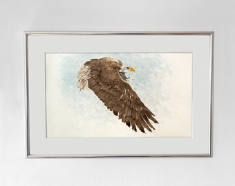 Weisskopfseeadler I Original Aquarell auf Büttenpapier Handgeschöpft I Schminke Farben I Unikat