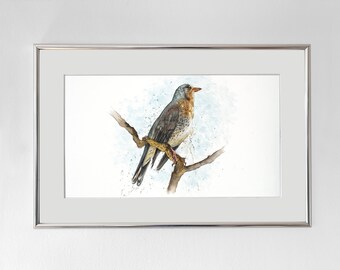 Kramsvogel I Originele aquarel op handgeschept papier I Schminkkleuren I Uniek