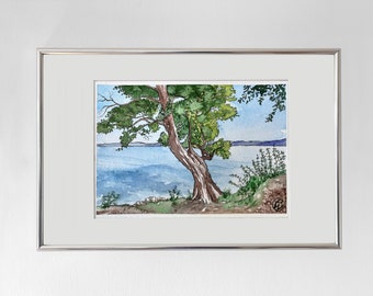 Oude boom aan de Starnberger See I Originele aquarel op zuurvrij aquarelpapier I Uniek