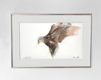 Weisskopfseeadler I Original Aquarell auf Büttenpapier Handgeschöpft I Aquarellfarben I Unikat