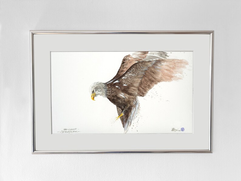 Weisskopfseeadler, Original Aquarell gemalt