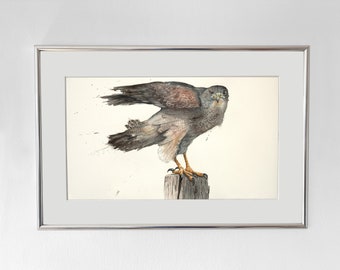 Bussard I Original Aquarell auf Büttenpapier Handgeschöpft I Aquarellfarben I Unikat