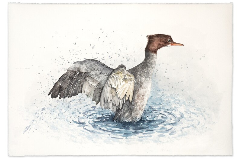 Gänsesäger I Original Aquarell auf Büttenpapier Handgeschöpft I Aquarellfarben I Unikat Bild 2