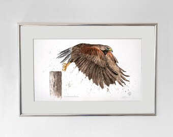 Woestijnbuizerd I Originele aquarel op handgeschept papier I Schminkkleuren I Uniek