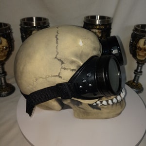 May include: A beige human skull model wearing black plastic goggles with an adjustable elastic strap. The skull features visible suture lines and is positioned in front of two metallic goblets that also feature skull designs on their stems.
