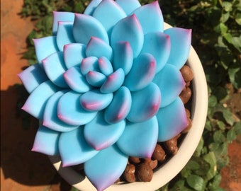 1Pcs Blue Clay Succulent Flower , Polymer Clay Flower Figurine, Flower Clay for Home