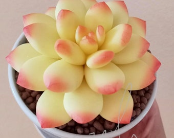 1Pcs Orange Clay Succulent Flower ,Gift family, Flower Clay for Home Garden