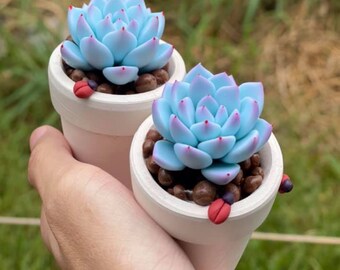 2Pcs (1 Combo) Blue Clay Succulent Flower , Polymer Clay Flower Figurine, Flower Clay for Home