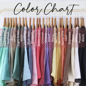 May include: A color chart displaying a row of t-shirts hanging on a gold rack. The shirts are labeled with text including Chalky Mint, Island Reef, Seafoam, Bay, Khaki, Light Green, Moss, Chambray, Blue Jean, Blossom, Crunchberry, Watermelon, Crimson, Orchid, Violet, Berry, Banana, Mustard, Terracotta, Yam, Espresso, Ivory, White, Pepper, and Black.