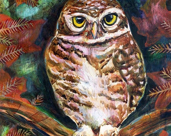 Spotted Owl -Archival Print