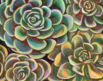 24x24 inch Print on Canvas “Succulent Garden”