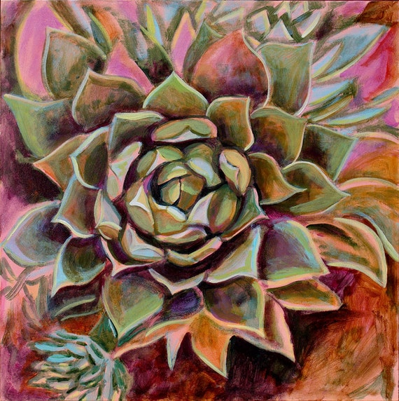 Echevaria 12x12 inch print on canvas