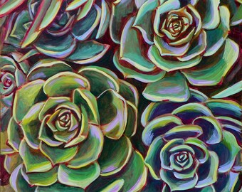 Four Succulents- 12x12 Print on Canvas