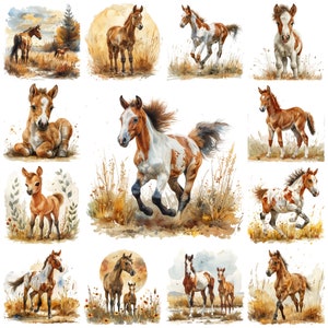 43 Fohlen PNG Clipart Bundle, Aquarell Fohlen Kunstwerk Illustration, Junge Pferdelandschaft Kinderzimmer Bild, Colt Clipart, Baby Pferd kommerzielle Nutzung