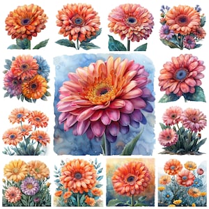 Gerbera Flowers PNG Clipart, Watercolor Transvaal Daisy Gerbera Scenery Illustration, Floral Gerbera Landscape African Daisy, Commercial Use