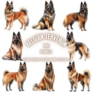 Belgischer Terverun Hunderasse PNG Clipart Bundle | Aquarell Hund Transparent Hintergrund Illustration, Tierliebhaber Kunst, Kommerzielle Nutzung