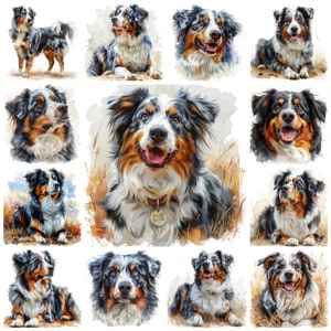 Peut inclure: Une peinture numérique de 10 chiens de berger australien dans différentes poses. Les chiens sont de couleurs différentes, notamment noir, blanc, brun et bleu. L'arrière-plan est une aquarelle de bleu et de vert.