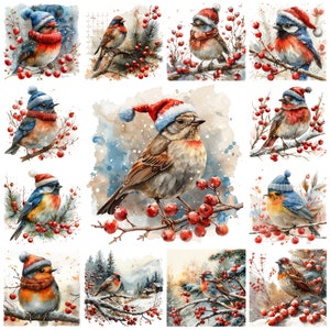 52 Weihnachtsvogel PNG Clipart Bunlde, Aquarell Weihnachtsvogel Transparente BG Illustration, entzückende Weihnachtsvögel, festlicher Vogel, kommerzielle Nutzung