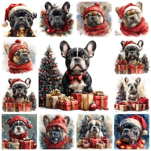 37 Pacchetto di clipart PNG di bulldog francese di Natale, illustrazione di cane bulldog francese di Natale, immagini festive di bulldog francese, uso commerciale del cane per le feste