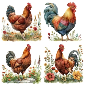 May include: Four watercolor illustrations of roosters with red combs and wattles, brown and red feathers, and blue and green feathers. Each rooster is surrounded by watercolor flowers and greenery.