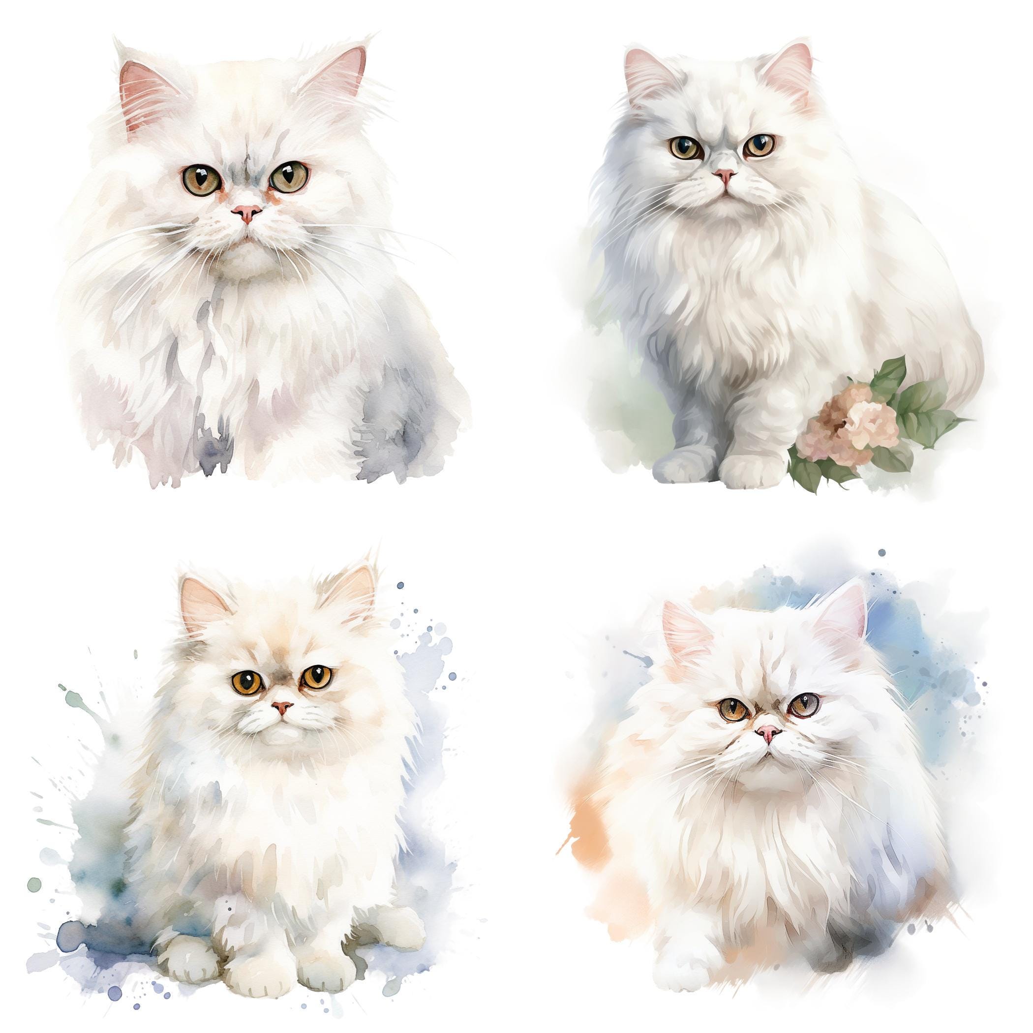 32 Persian Cat PNG Clipart Bundle, Watercolor Long-haired Persian Cat ...