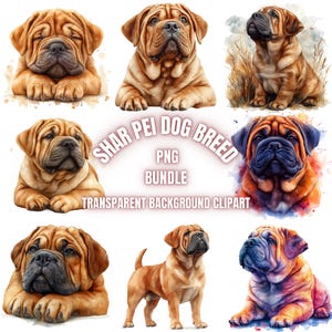 Shar Pei Hunderasse PNG Clipart Bundle | Aquarell Hundeporträt transparenter Hintergrund Illustration, Tierliebhaber druckbare Kunst, kommerzielle Nutzung