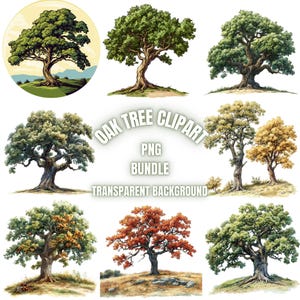 Oak Tree PNG Clipart Bundle, Watercolor Oak Tree Landscape Illustration, Tranparent Background Oak Tree Sublimation Pack, Commercial Use