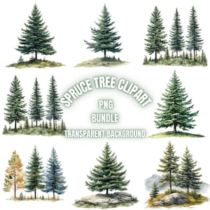 May include: A digital clipart bundle of watercolor illustrations of spruce trees. The trees are depicted in various sizes and arrangements, with some standing alone and others grouped together. The trees are all green and have a realistic appearance. The text "Spruce Tree Clipart" is written in a green circle above the trees. The text "PNG Bundle" is written below the circle. The text "Transparent Background" is written below the bundle text.