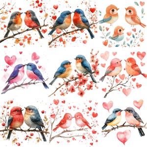 Pacote de clipart PNG de pássaros do dia dos namorados, aquarela, dia dos namorados, pássaros, cartão, artesanato em papel, imagens de animais, uso comercial