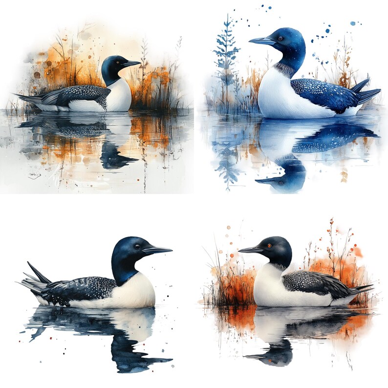 28 Common Loon PNG Clipart Bundle, Watercolor Loon Silhouette Abstract ...