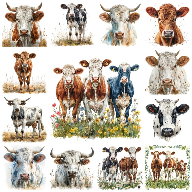 Catle Ranches Angus Cattle Decal - Etsy UK