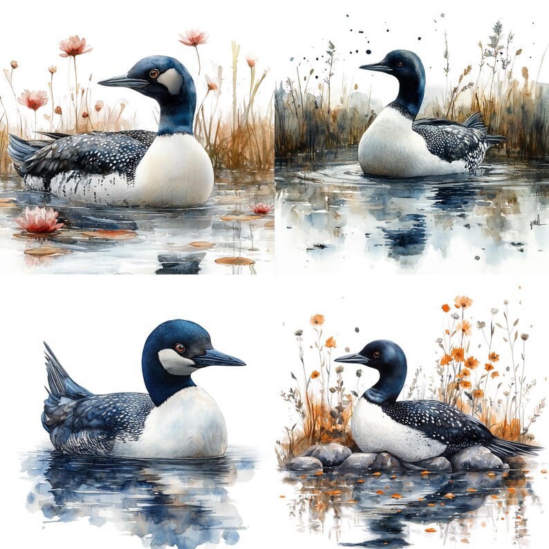 28 Common Loon PNG Clipart Bundle, Watercolor Loon Silhouette Abstract ...