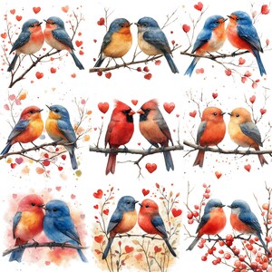 Paquete de imágenes prediseñadas PNG de pájaros para el día de San Valentín, imágenes de pájaros en pareja en acuarela, imágenes de pájaros enamorados, uso comercial