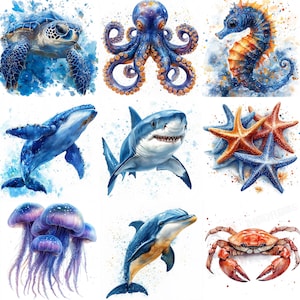 Pacote de 40 Clip Art PNG de Vida Marinha, Imagens de Animais Marinhos em Aquarela, Coleção de Arte de Ilustração Subaquática, Download Instantâneo, Uso Comercial