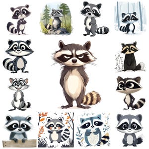 Lot de 38 cliparts PNG décalés, adorable illustration de raton laveur de dessin animé, fabrication de cartes drôle de raton laveur, images d'animaux drôles, usage Commercial