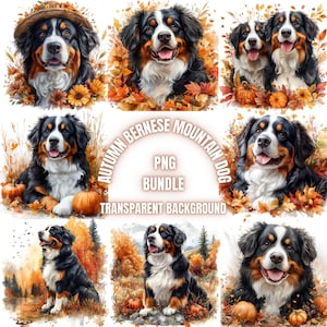Erntedank Berner Sennenhund PNG Clipart-Bundle, Aquarell Herbst Saison Berner Sennenhund Bilder, Herbst Berner Hund, kommerzielle Nutzung