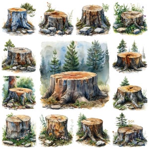 Imágenes prediseñadas de tocón de árbol PNG, ilustración de fondo transparente de tocón de acuarela 46, imagen de tocón de bosque, gráfico de tronco de árbol, base de árbol, uso comercial