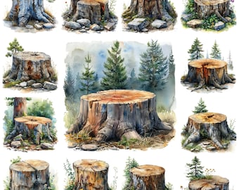 Watercolor Tree Stump Clipart, Woodland Illustration (PNG, Commercial Use)